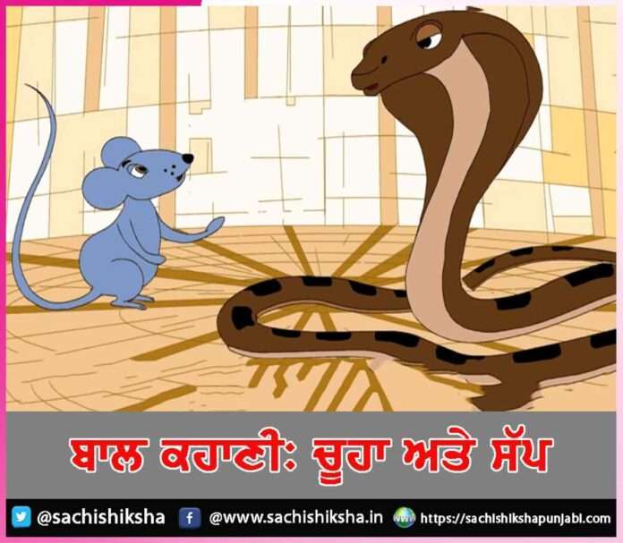 Snake Aur Rat