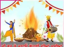 Lohri: ਜੀ ਭਰ ਕੇ ਮਨਾਓ ਲੋਹੜੀ ਦੀਆਂ ਖੁਸ਼ੀਆਂ