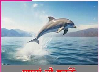 Meaning of words