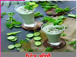 Pudina Lassi