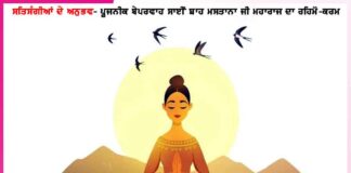 experiences of satsangis