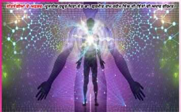 experiences of satsangis