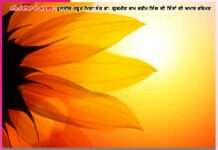 Experiences of the Devotees