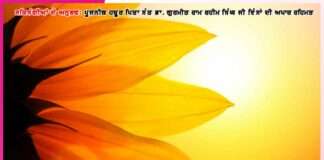 Experiences of the Devotees