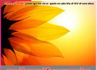 Experiences of the Devotees