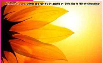 Experiences of the Devotees