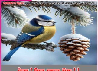 Experiences of Satsangis