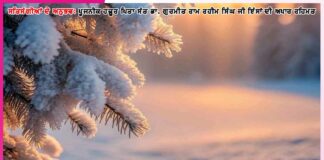Experiences of Satsangis
