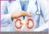 kidney