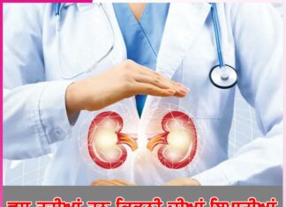 kidney