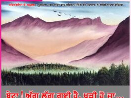 Experiences of satsangis