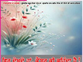 Experiences of satsangis
