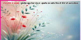 Experiences of satsangis