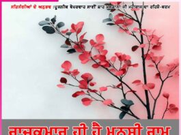 Experiences of satsangis