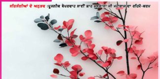 Experiences of satsangis