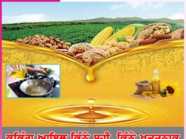 Cooking oil