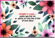 Experiences of Satsangis