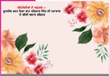 Experiences of Satsangis