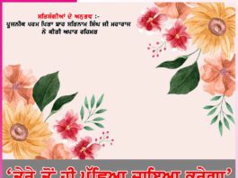 Experiences of Satsangis