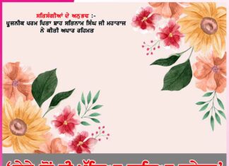 Experiences of Satsangis