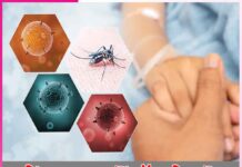 Dengue Fever: ਡੇਂਗੂ ਬੁਖਾਰ ਤੋਂ ਬੱੱਚ ਕੇ ਰਹੋ Dengue Fever