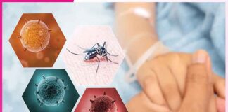 Dengue Fever: ਡੇਂਗੂ ਬੁਖਾਰ ਤੋਂ ਬੱੱਚ ਕੇ ਰਹੋ Dengue Fever