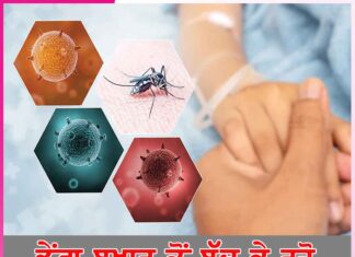 Dengue Fever: ਡੇਂਗੂ ਬੁਖਾਰ ਤੋਂ ਬੱੱਚ ਕੇ ਰਹੋ Dengue Fever