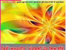 Experiences of Satsangis