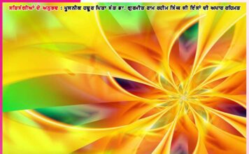 Experiences of Satsangis