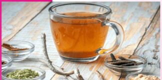 Herbal decoction: ਡੇਂਗੂ ਮਰੀਜਾਂ ਲਈ ਕਾੜ੍ਹਾ Herbal decoction