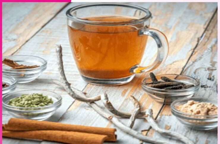 Herbal decoction: ਡੇਂਗੂ ਮਰੀਜਾਂ ਲਈ ਕਾੜ੍ਹਾ Herbal decoction