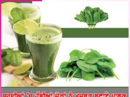 Paalak: ਸਰਦੀਆਂ ’ਚ ਹੱਡੀਆਂ-ਜੋੜਾਂ ਨੂੰ ਮਜ਼ਬੂਤ ਬਣਾਏ ਪਾਲਕ spinach Paalak