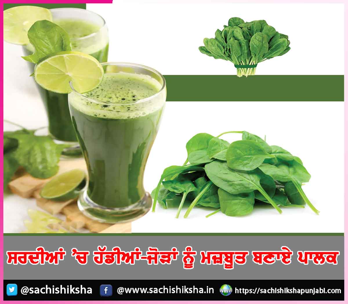 spinach Paalak (2) spinach Paalak