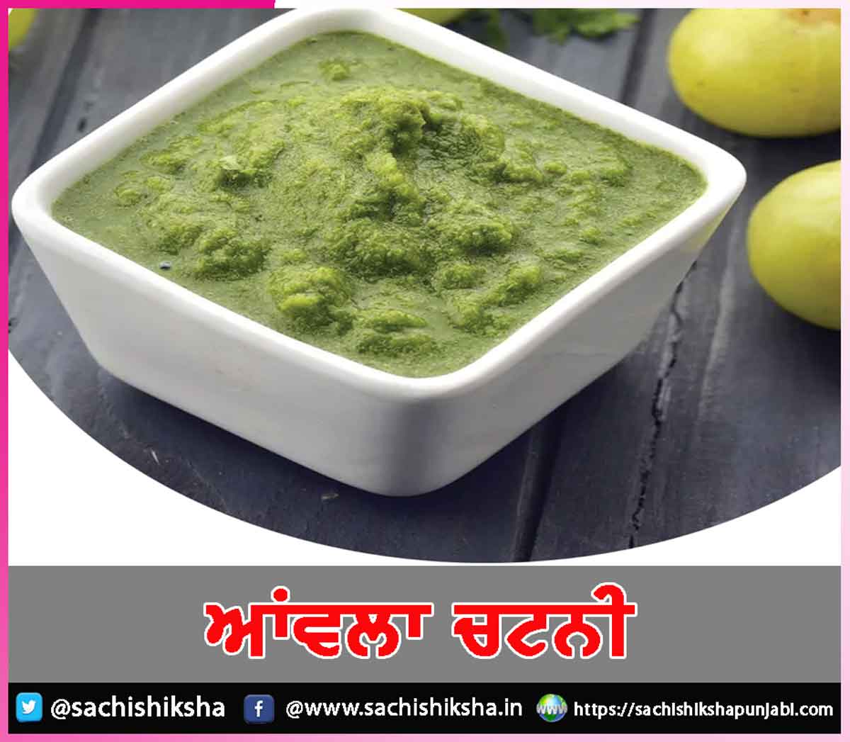 Amla Chutney Amla Chutney