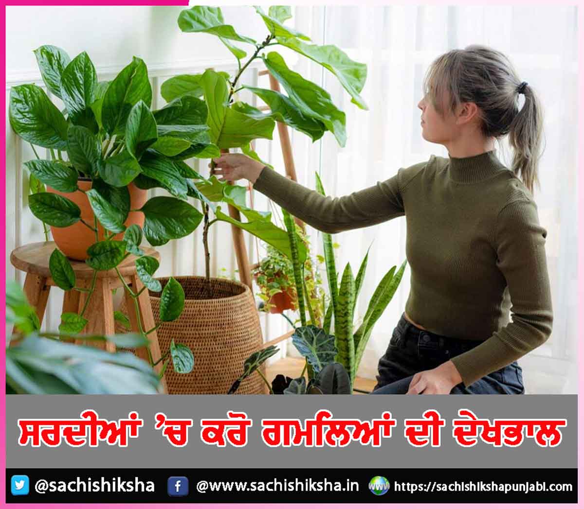 Take care of pots in winter Take care of pots in winter