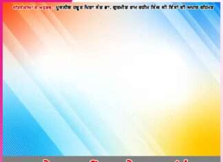 Experiences of Satsangis