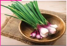 Green Onions: ਪੌਸ਼ਟਿਕਤਾ ਨਾਲ ਭਰਪੂਰ ਹੁੰਦਾ ਹੈ ਹਰਾ ਪਿਆਜ਼ Green Onions