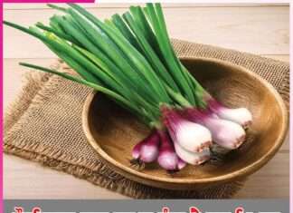 Green Onions