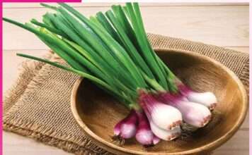 Green Onions: ਪੌਸ਼ਟਿਕਤਾ ਨਾਲ ਭਰਪੂਰ ਹੁੰਦਾ ਹੈ ਹਰਾ ਪਿਆਜ਼ Green Onions