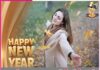 HAPPY NEW YEAR ਹਰ ਦਿਨ ਖੁਸ਼ਨੁਮਾ ਹੋਵੇ ਜ਼ਿੰਦਗੀ Happy New Year