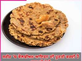 Jaggery Roti: ਸਰੀਰ ’ਚ ਕੈਲਸ਼ੀਅਮ-ਆਇਰਨ ਦੀ ਪੂਰਤੀ ਕਰਦੀ ਹੈ ਗੁੜ ਦੀ ਰੋਟੀ Jaggery Roti