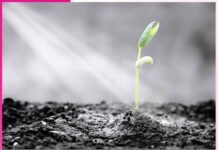 ਕੁਦਰਤ ਦਾ ਨਿਯਮ law of nature