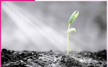 ਕੁਦਰਤ ਦਾ ਨਿਯਮ law of nature