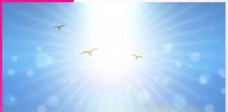 ਜੀਵਨ ’ਚ ਧਨ ਦੀ ਮਹੱਤਤਾ money in life