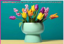 ਬੇਟਾ! ਇਸ ਦਾ ਆਪ੍ਰੇਸ਼ਨ ਹੋ ਗਿਆ -ਸਤਿਸੰਗੀਆਂ ਦੇ ਅਨੁਭਵ Experiences of Satsangis