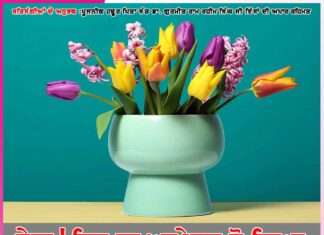 Experiences of Satsangis