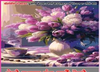 Experiences of Satsangis