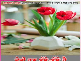 ਤੇਰੀ ਹੁਣ ਬੱਲੇ-ਬੱਲੇ ਹੈ -ਸਤਿਸੰਗੀਆਂ ਦੇ ਅਨੁਭਵ Experiences of Satsangis