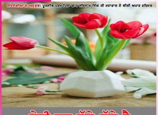 Experiences of Satsangis