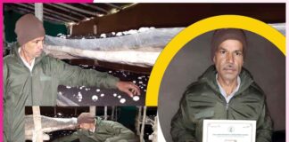 Mushroom Farmers: ਡੀਜ਼ਲ ਮਕੈਨਿਕ ਤੋਂ ਬਣਿਆ ਖੁੰਬ ਉਤਪਾਦਨ ’ਚ ਅਗਾਂਹਵਧੂ ਕਿਸਾਨ Mushroom Farmers